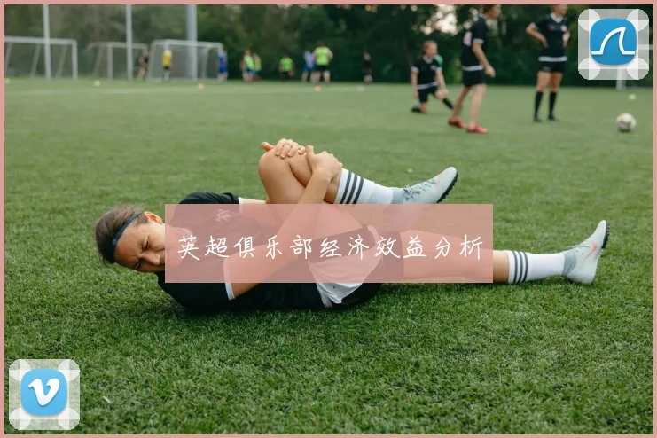 英超俱乐部经济效益分析