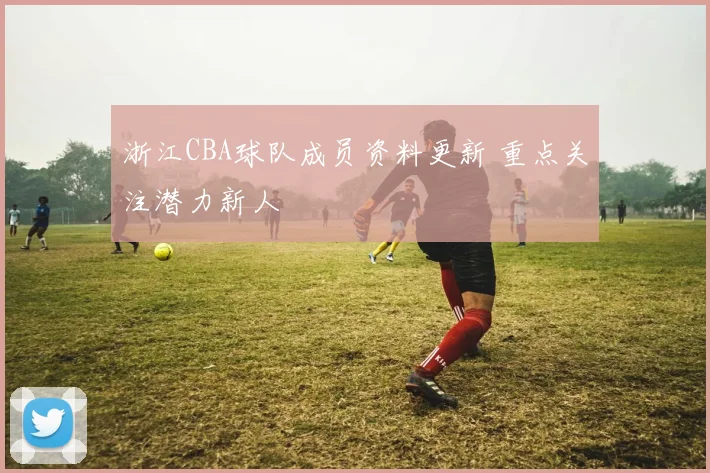 浙江CBA球队成员资料更新 重点关注潜力新人