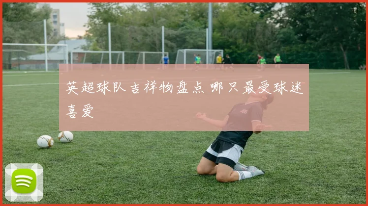 英超球队吉祥物盘点 哪只最受球迷喜爱