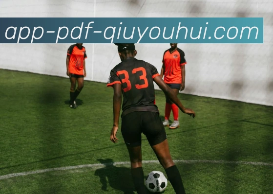 球友会app平台生态图